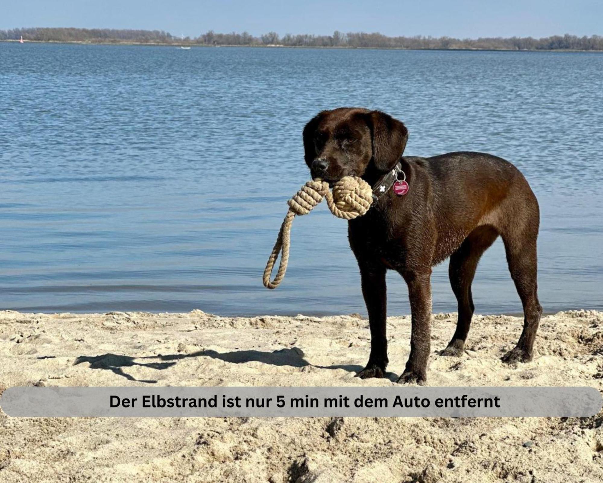 Lodge Of Africa - Einzigartige Themenzimmer, Eingezaeunten Garten, Sauna, Whirlpool & Kamin, Hunde Willkommen, Gasgrill, Voll Ausgestattete Kueche, Grosser Essbereich, Hamburg & Stade In Der Naehe Twielenfleth Esterno foto