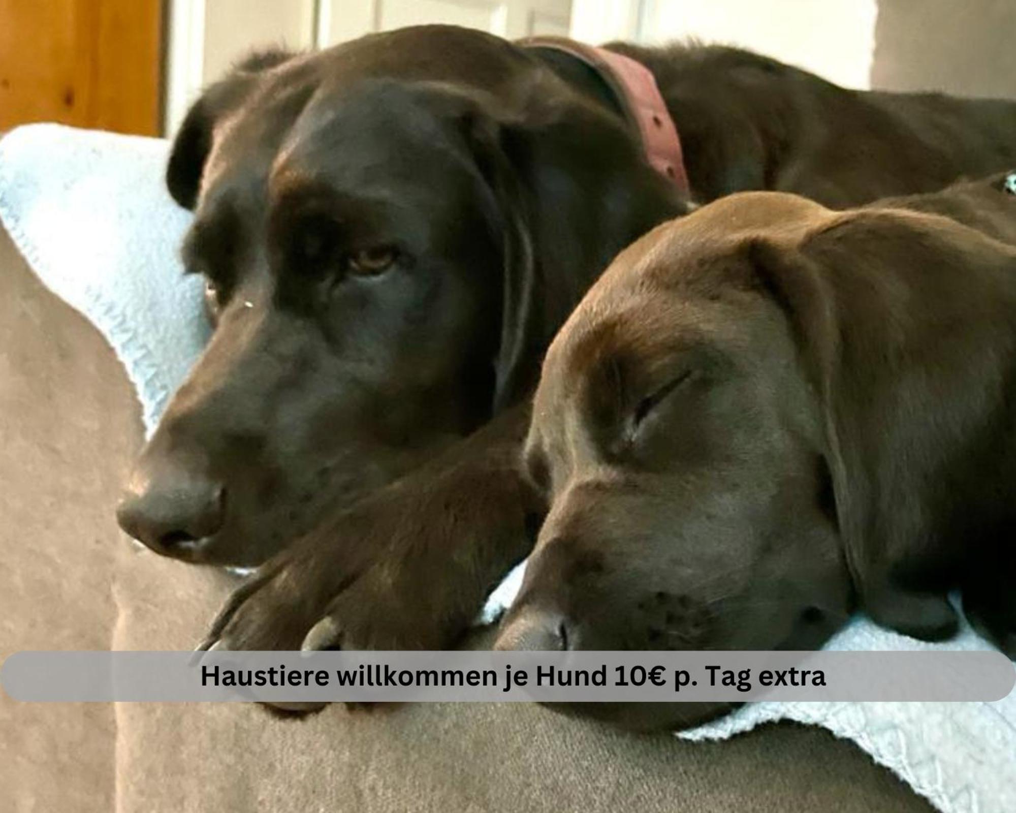 Lodge Of Africa - Einzigartige Themenzimmer, Eingezaeunten Garten, Sauna, Whirlpool & Kamin, Hunde Willkommen, Gasgrill, Voll Ausgestattete Kueche, Grosser Essbereich, Hamburg & Stade In Der Naehe Twielenfleth Esterno foto