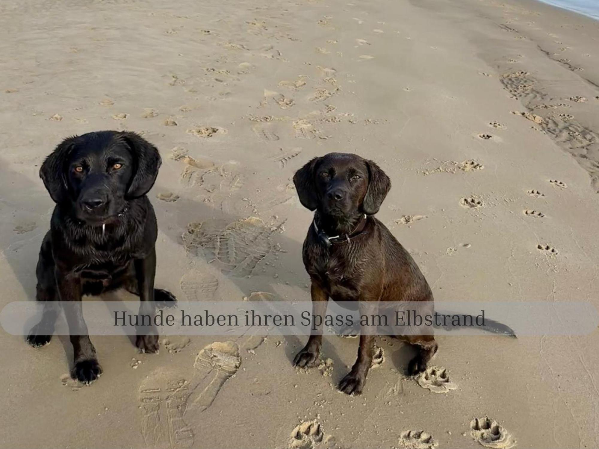Lodge Of Africa - Einzigartige Themenzimmer, Eingezaeunten Garten, Sauna, Whirlpool & Kamin, Hunde Willkommen, Gasgrill, Voll Ausgestattete Kueche, Grosser Essbereich, Hamburg & Stade In Der Naehe Twielenfleth Esterno foto